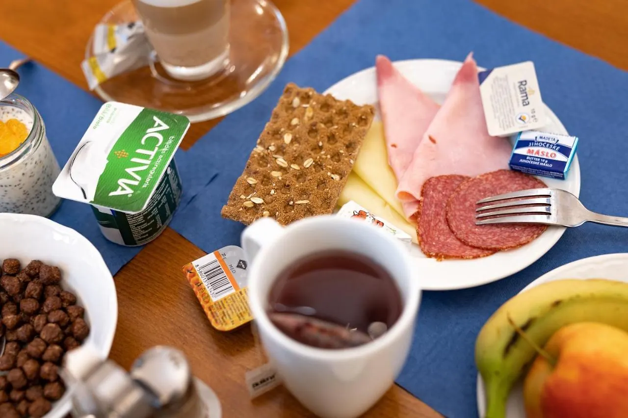 Hotel Belcredi Brno Czech Republic